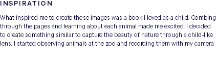 INSPIRATION What inspired me to create these images was a book I loved as a child. Combing through the pages and learning about each animal made me excited. I decided to create something similar to capture the beauty of nature through a child-like lens. I started observing animals at the zoo and recording them with my camera 