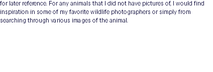 for later reference. For any animals that I did not have pictures of, I would find inspiration in some of my favorite wildlife photographers or simply from searching through various images of the animal. 